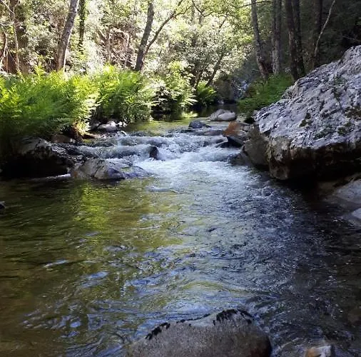 U Me Sognu Arbellara