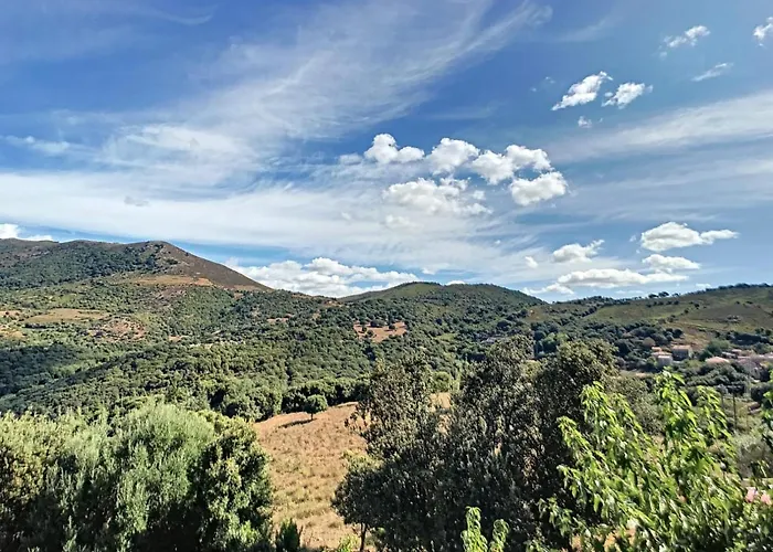 U Me Sognu * Arbellara